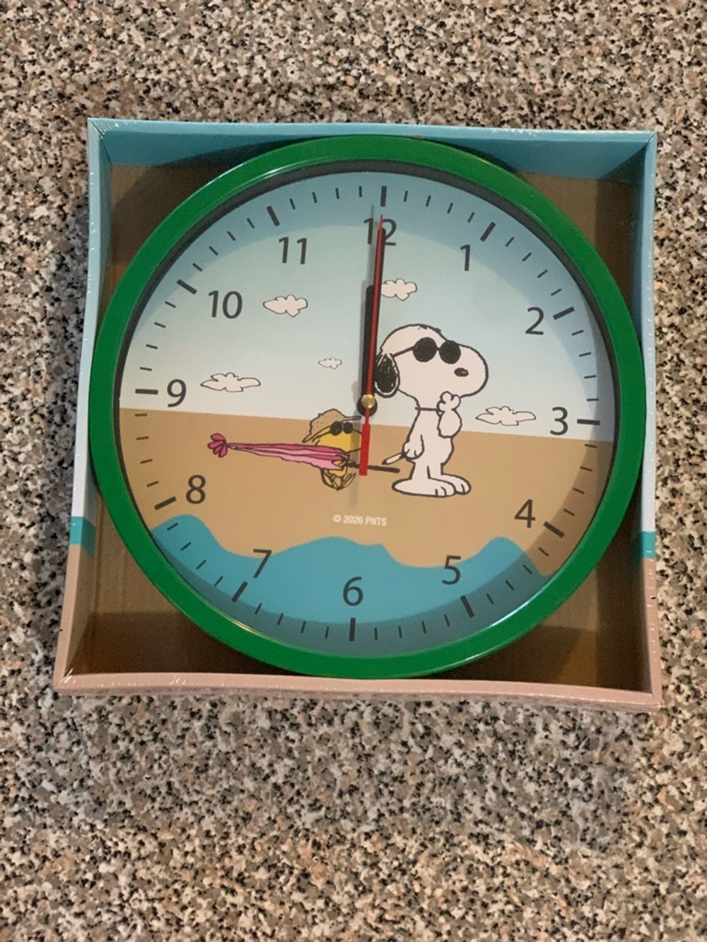 Snoopy & Woodstock at the Beach Wall Clock - Green Frame